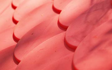 Ravensthorpe plastic roof costs